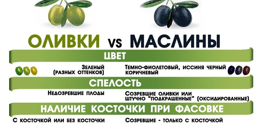 Оливки і маслини: В чому різниця між цими плодами?