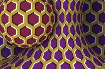 Оптична ілюзія «Моя дружина або теща»: цікаві факти та секрети сприйняття