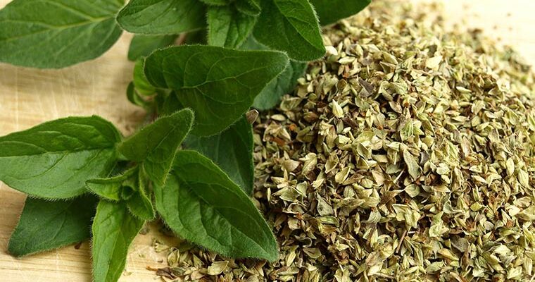 Орегано: Відкрийте для себе корисні властивості та застосування приправи