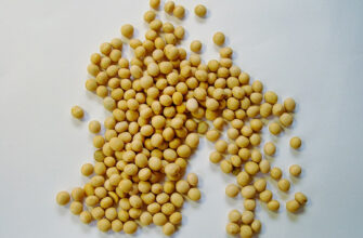Що таке соя: корисні властивості, види та використання в харчуванні
