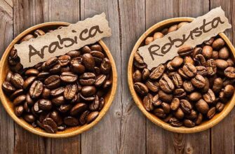 Різниця між купажем та арабікою: що вибрати для ідеальної кави?