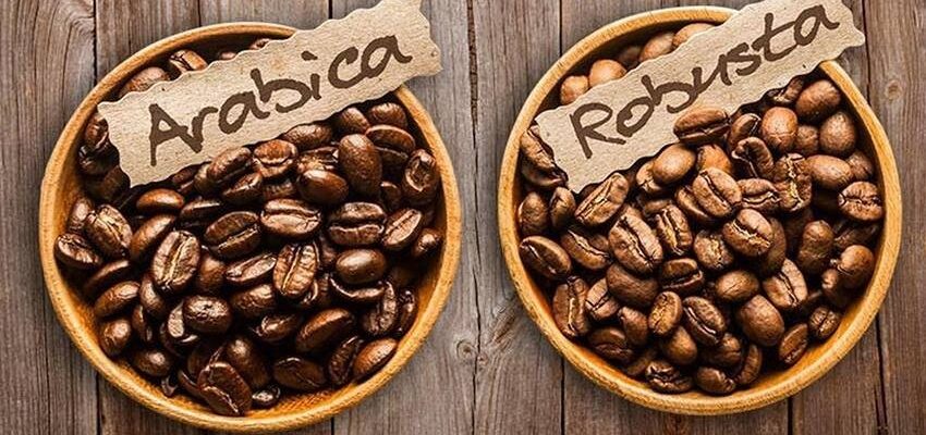 Арабіка чи купаж: у чому різниця та як обрати свій ідеальний напій?