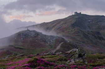 Що таке піп. Як вимірюється рух цін на фінансових ринках?