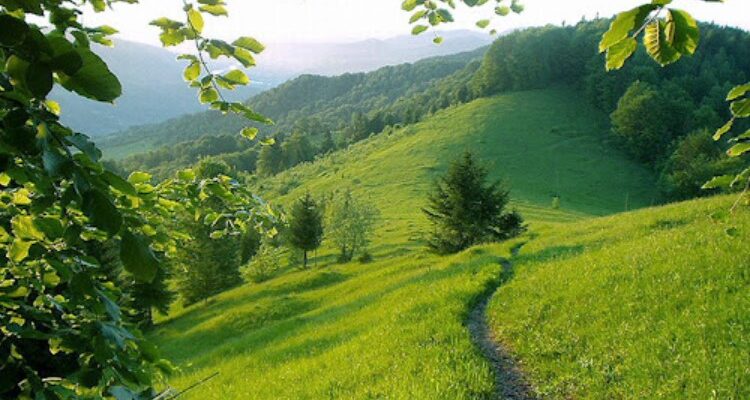 Плай: що це таке й чому варто спробувати цей зимовий курорт?