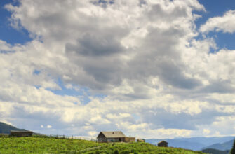 Що таке полонина: все про високогірні луки Карпат для туристів