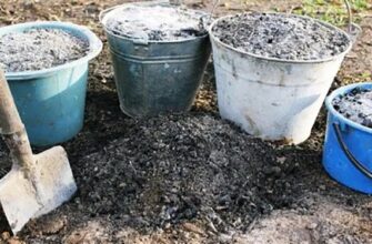 Зола і попіл: Яка різниця між двома подібними поняттями?