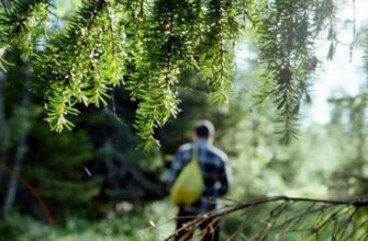 Що таке блуд: розкриваємо поняття, причини та наслідки гріха