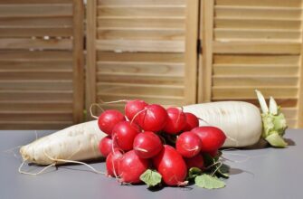 Редька і редис: у чому різниця та як обрати найкращий варіант?