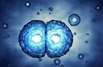 Регенерація: що це таке та як відбувається процес відновлення?