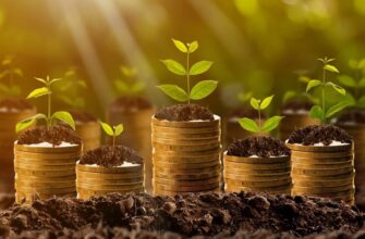 Рентна плата: визначення, принципи дії та її важливість у економіці