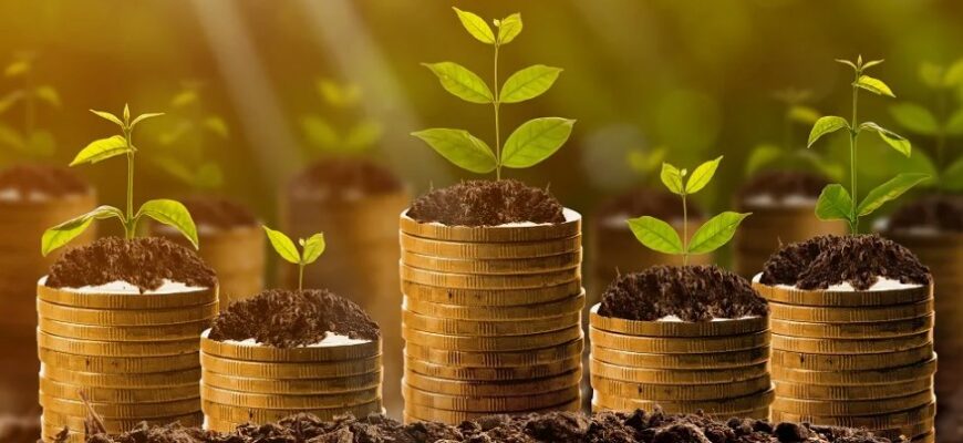 Рентна плата: визначення, принципи дії та її важливість у економіці