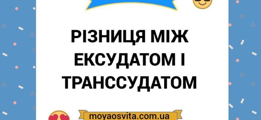 Транссудат і ексудат: різниця, діагностика та застосування в медицині