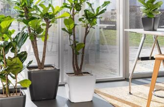 Інноваційний розумний горщик з автополивом: революція в догляді за рослинами