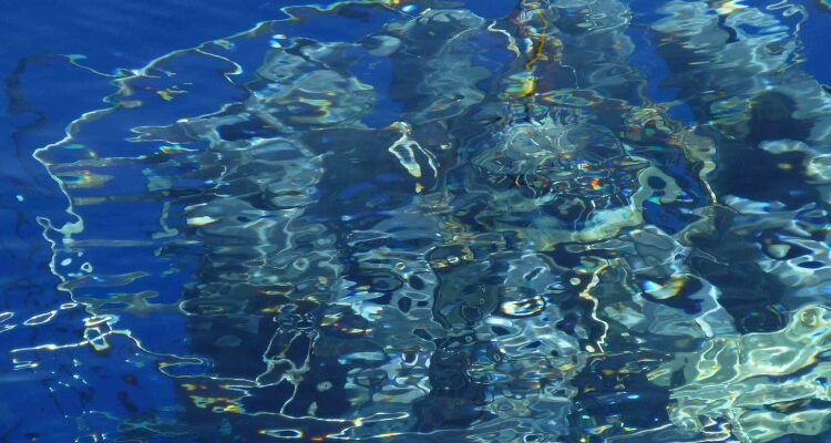 Саргасове море: ТОП-20 захопливих фактів, які ви не знали раніше