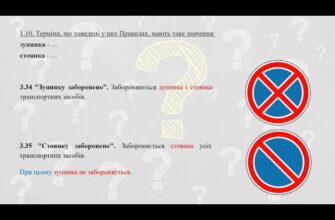 Зупинка і стоянка: у чому полягає різниця та як їх розрізняти?