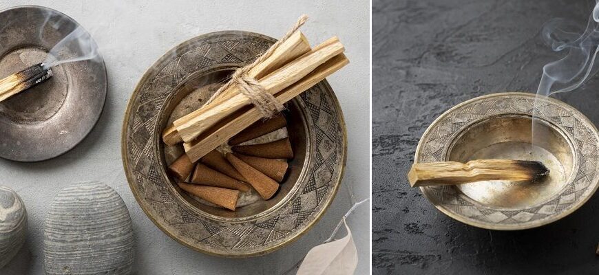 Пало Санто: Властивості, Застосування та Користь Священного Дерева