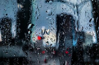 Що таке абсолютна вологість повітря: визначення та значення для здоров’я