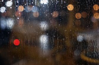 Що таке адсорбція: просте пояснення процесу та його застосування