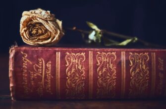 Анотація до книги: ключ до розуміння змісту та літературного стилю