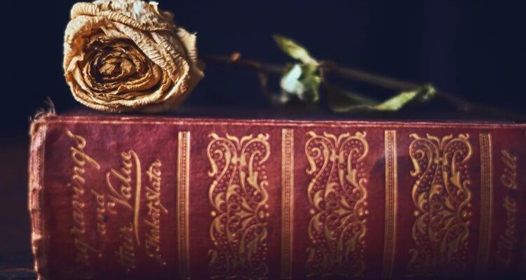 Анотація до книги: ключ до розуміння змісту та літературного стилю