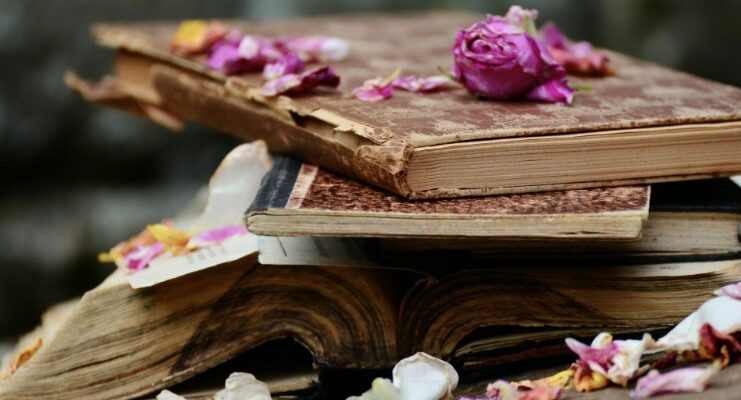 Що таке антоніми і синоніми: пояснення, приклади та різниця