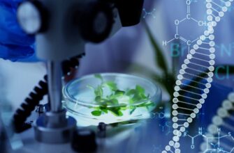 Біотехнологія: Поєднання життя та технологій у сучасній науці