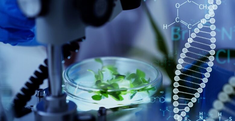 Біотехнологія: Поєднання життя та технологій у сучасній науці