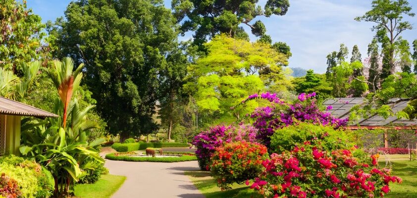 Ботанічний сад: живий музей природи та джерело натхнення і науки