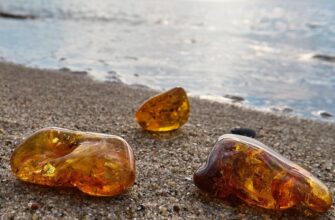 Що таке бурштинова кислота: хімічні властивості, біологія та магія