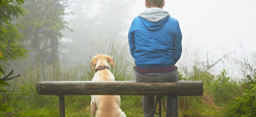 Феномен людини: розкриття таємниць унікальності людської природи