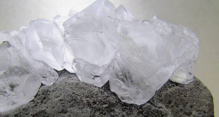 Галун: Властивості, Застосування та Користь для Вашого Здоров’я