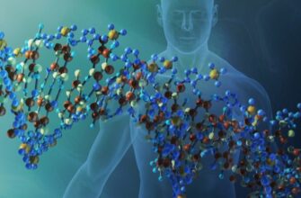 Що таке генотип: розкриття унікального генетичного коду людини