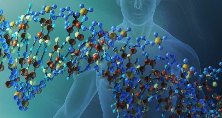 Що таке генотип: розкриття унікального генетичного коду людини