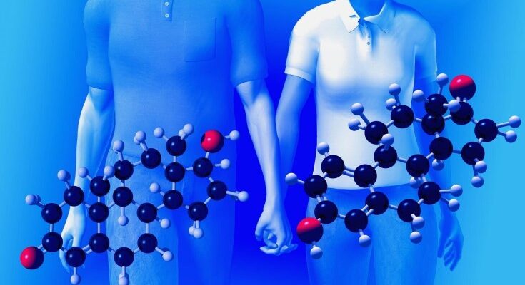 Гормони: Що Це Та Як Вони Впливають На Наше Здоров’я І Самопочуття?