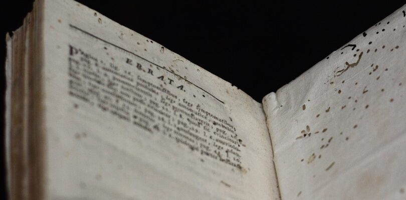 Знищення книжкових вошей: ефективні методи боротьби з шкідниками