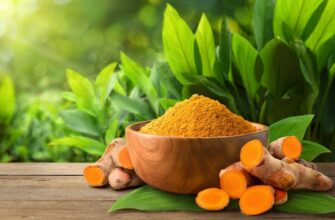 Куркума: Властивості, користь та застосування спеції у повсякденні
