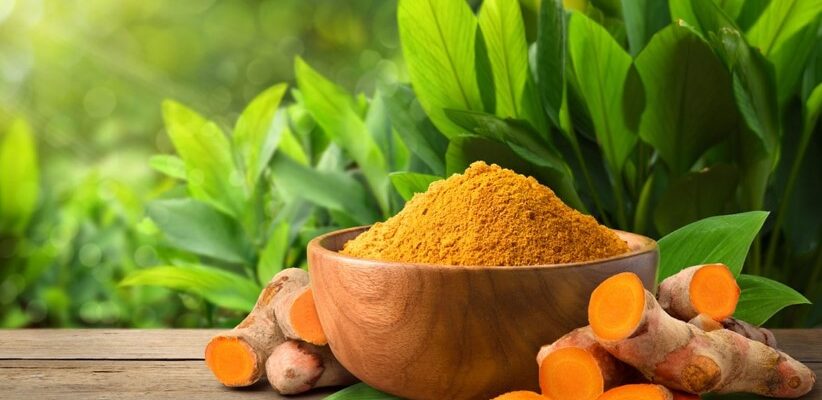 Куркума: Властивості, користь та застосування спеції у повсякденні