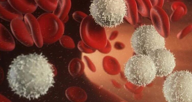 Лейкоцити: Роль, функції та значення в імунній системі людини