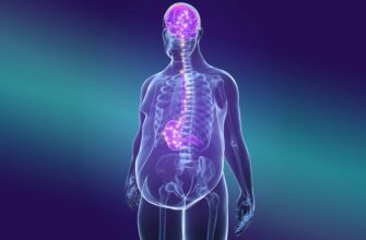 Лептин: роль у організмі, місце виробництва та основні функції