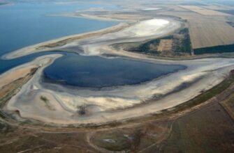 Лиман: Визначення, формування та значення для екосистеми України