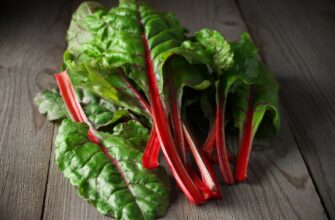 Мангольд: Корисні властивості та застосування в кулінарії і медицині