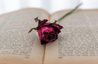 Метафори: Значення та застосування у повсякденному мовленні – ключі розуміння