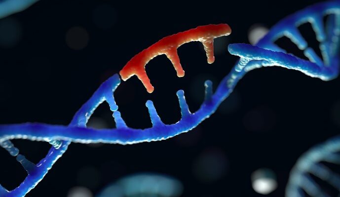 Що таке мутації: зрозумійте основні причини та види змін генів