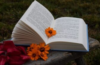 Що таке нарис: визначення, характеристики та приклади написання