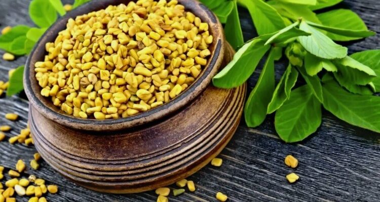 Все про пажитник: Властивості, користь і використання в кулінарії