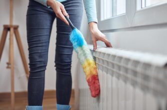 Що таке піпідастр: історія, етимологія та цікаві факти про предмет