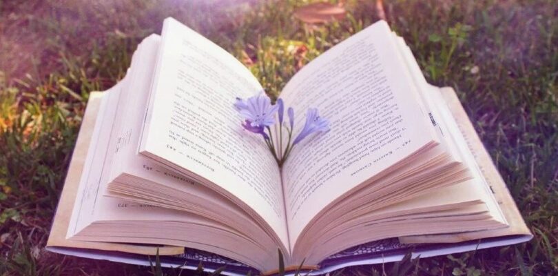 Полемічна література: визначення, приклади та вплив на суспільство