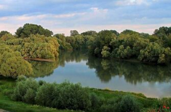 Протока: визначення, види та значення у світовій географії