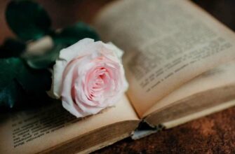 Теза у творі: визначення, роль та як правильно формулювати ідеї