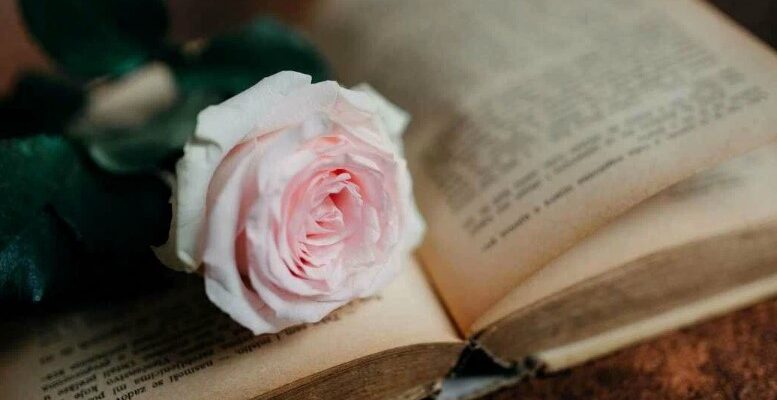 Теза у творі: визначення, роль та як правильно формулювати ідеї